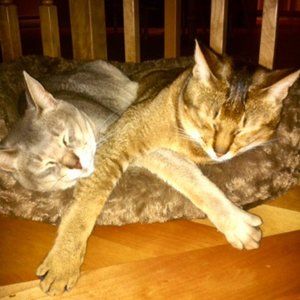 Meet your Posher, Judith